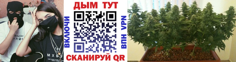 Конопля AK-47  hydra вход  Биробиджан 